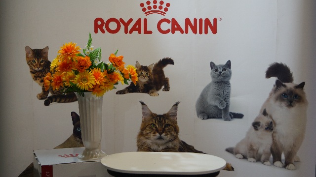 DSC00567
