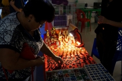 DSC00550