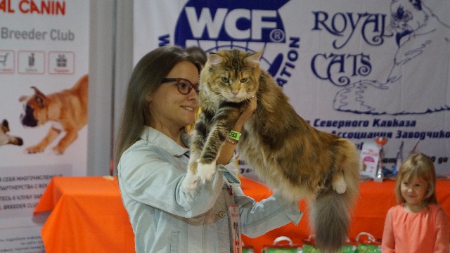 DSC00928