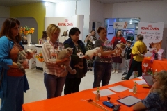 DSC00856