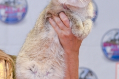 19