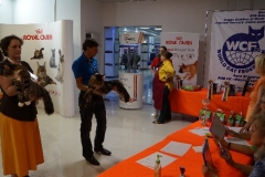 DSC00905