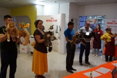 DSC00907