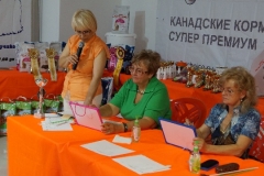 DSC00931