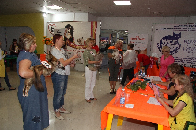 IMG_9878
