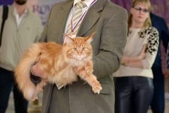 а10