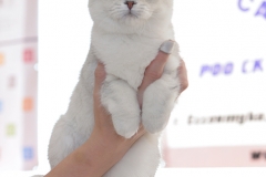 92