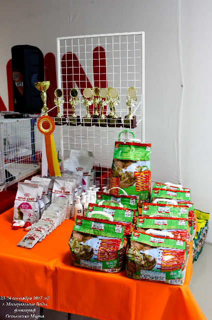 IMG_9517