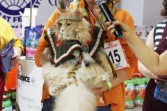 IMG_9049