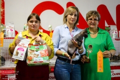 IMG_9740 (2)