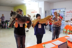 IMG_9823 (2)