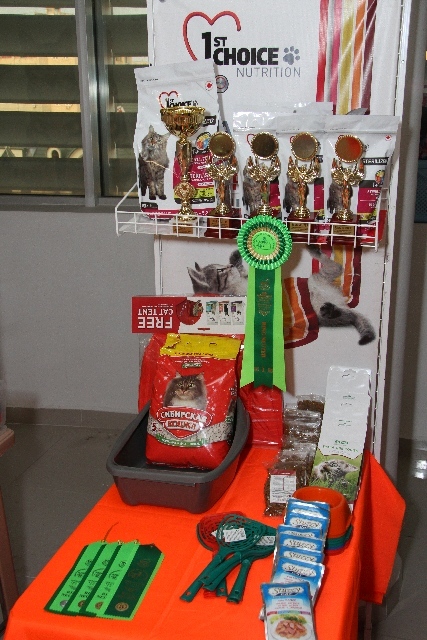 IMG_9653