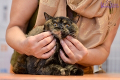 DSC_2073